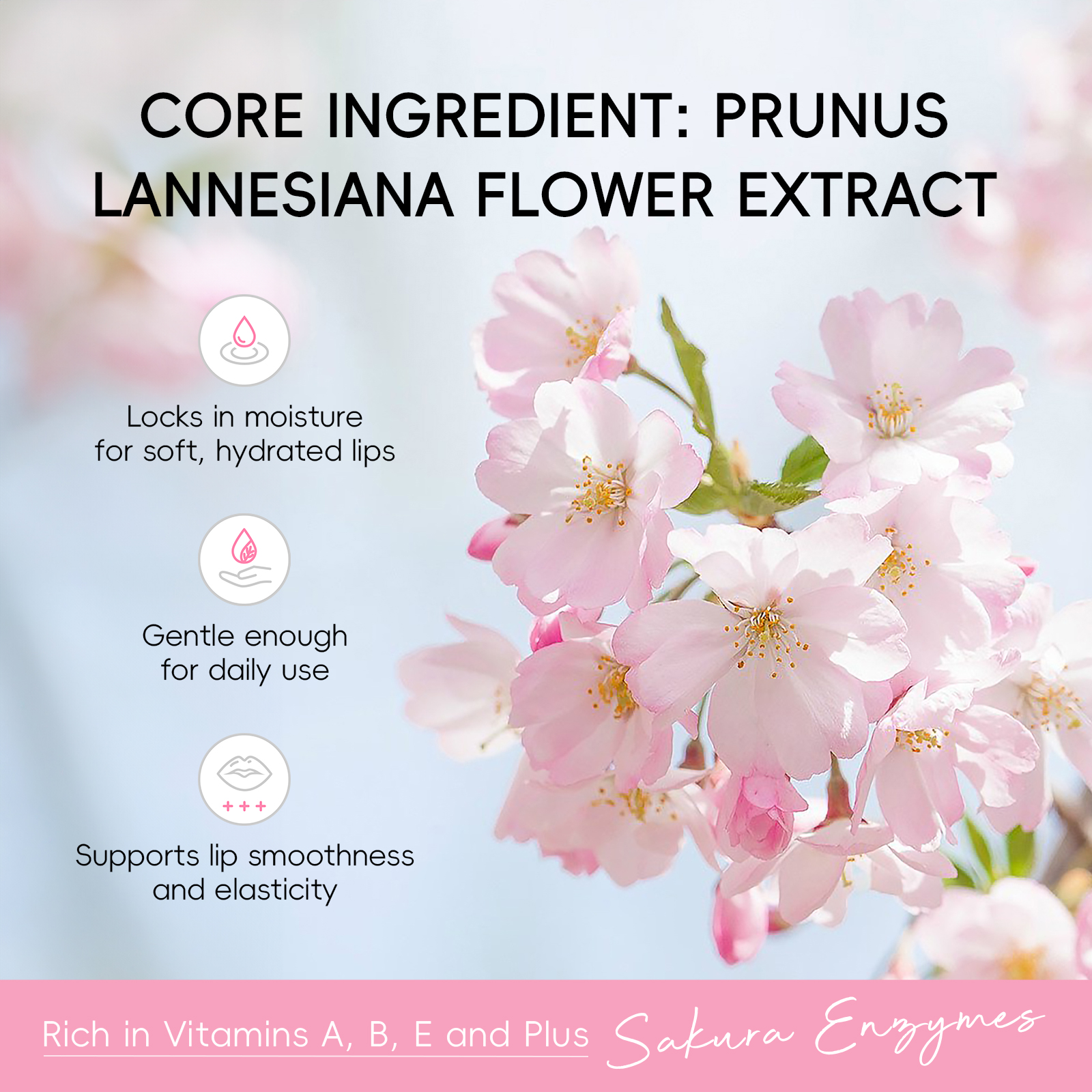 LAIKOU Japan Sakura Skin Care  - مراجعة Skincare Pink وسعره